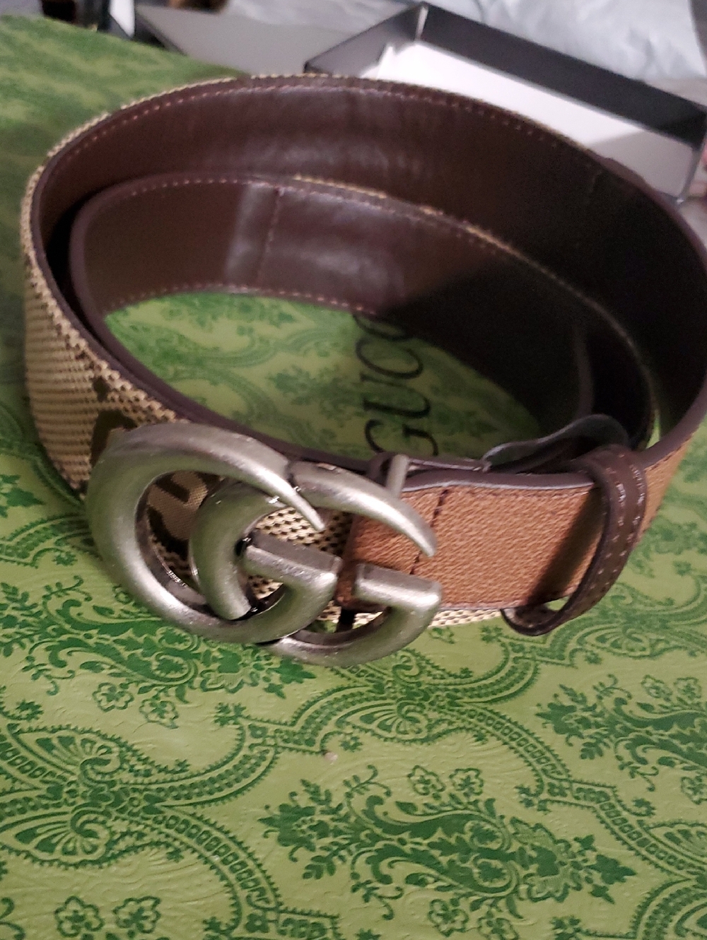 Gg Unisex Brown Canvas Belt with Silver Double G Buckle